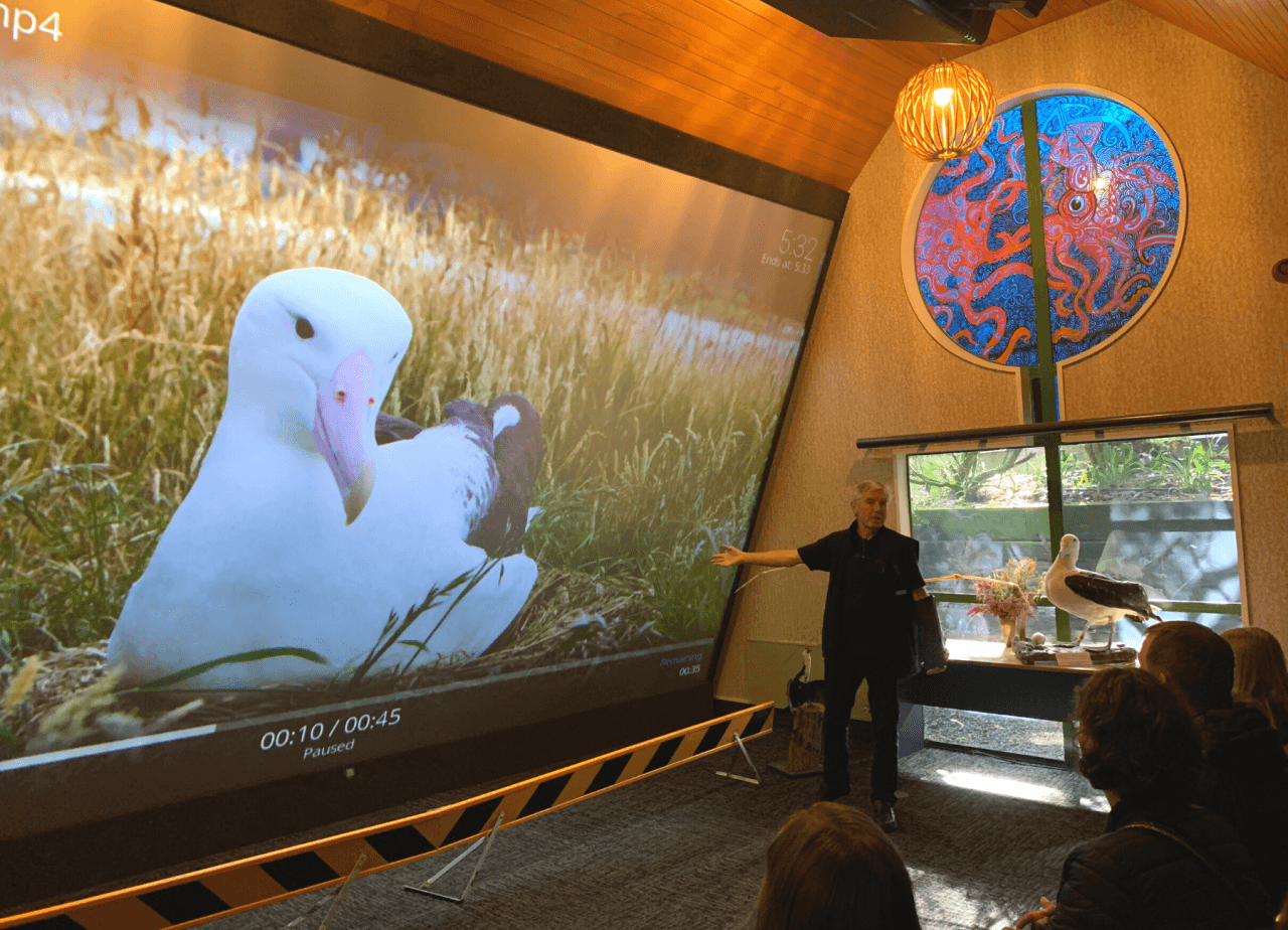 Albatross Classic Guided Tour - image 4